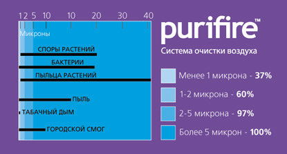 puri2 puri2